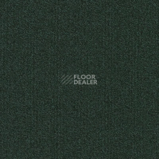 Ковровая плитка Modulyss Millennium Nxtgen Millennium Nxtgen 684 фото 1 | FLOORDEALER